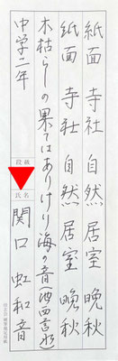 バランスよくペンの使い方も大変良いです！