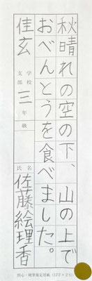 バランスよく最後までしっかりと書き上げられていて上手です