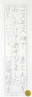 カタカナ、ひらがな、漢字のバランスもよく大変よく書けていて素晴らしい！