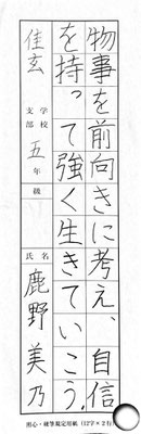 丁寧に、大変美しく書き上げられていて素晴らしい！