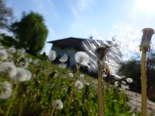 © K. Heusinger,M. Waubke, Fruehling Auf der Spek