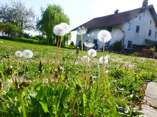 © M. Waubke, Fruehling Auf der Spek