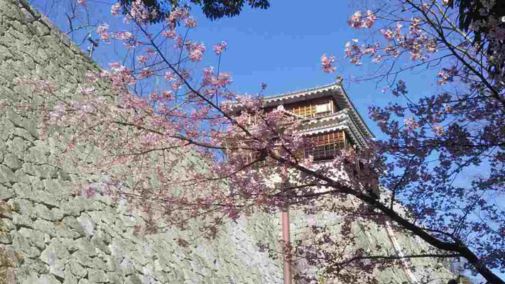 巽櫓と初春の花
