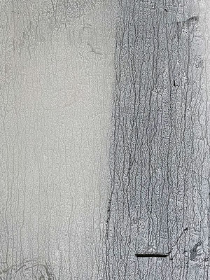 ArtArtist 2026 © Marcus Schmitz