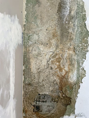 ArtArtist 2026 © Marcus Schmitz