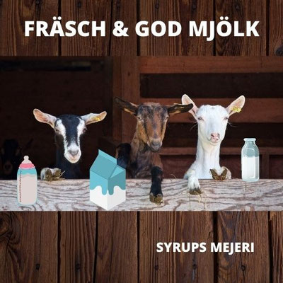 "Det fräste till när getmjölken kokade över. Fru Sylvia Dirkschnabel satte bryskt det lilla barnet i knät på Helmut"