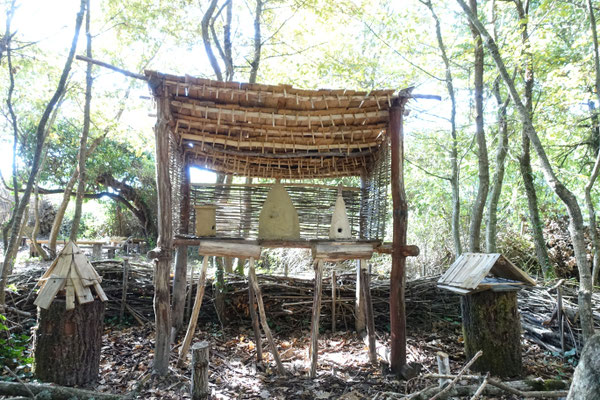 Ruches pour faire du miel