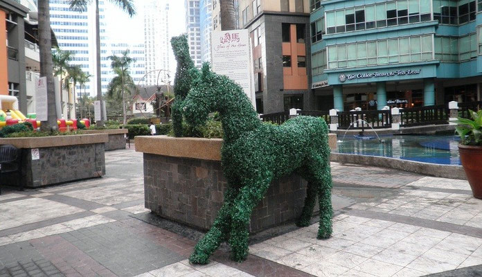 And Then Some: Year of the Horse
