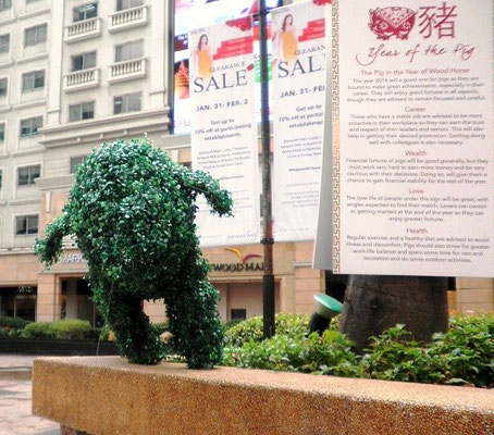 And Then Some: Year of the Pig