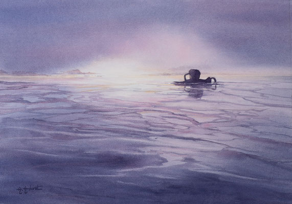 Plongée Sunset avec encadrement 71cm 56cm  580€