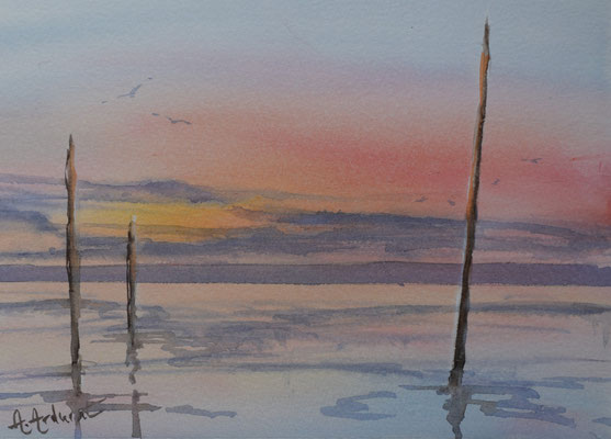 Couchant sur le Bassin d'Arcachon, avec passe-partout sous papier cristal 34cm 28cm  120€