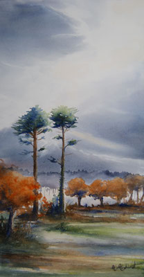 Lumières d'Automne  50cm 76cm avec encadrement 450€