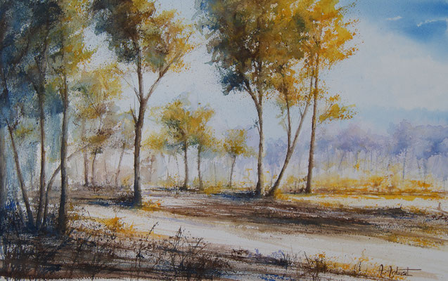 Chemin de forêt  785.5cm 55cm avec encadrement 620€