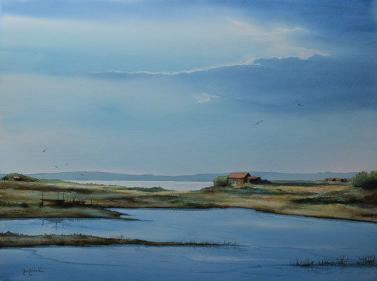 Sous le soleil de l'Ile aux oiseaux  avec encadrement 97cm 78cm    1000€