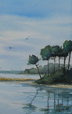 Le lac sauvage   40.5cm 30.5cm avec encadrement 170€