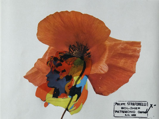 Jolie Coquelicot cocodi cocoda