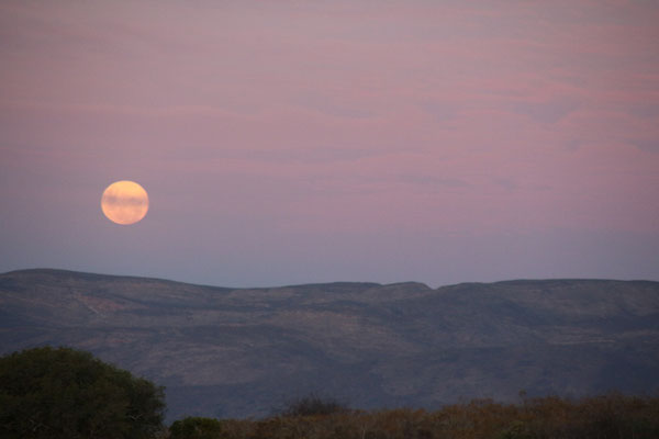 the moon is rising up, Amathunzi