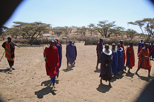 Maasai - Tanz / Maasai dance