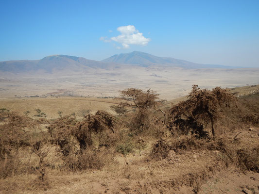Ngorongoro Hochland / ngorongoro highland