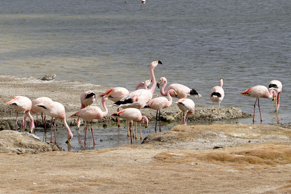 Nochmals geniessen, bald sind wir am Ende der Lagunenroute...