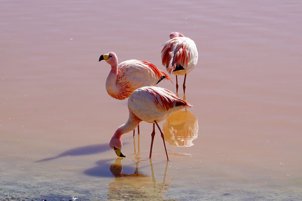 ...und einmalig dieser Moment hier