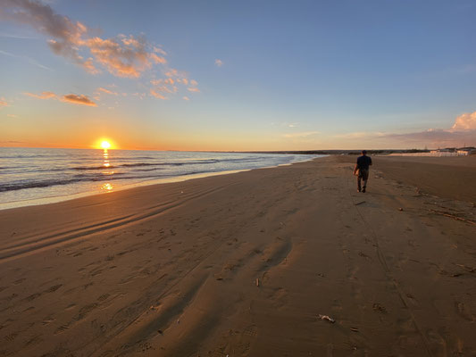 Herrlicher Strandspaziergang...