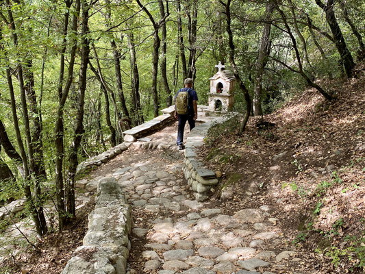 Klosterwanderung durch den Wald