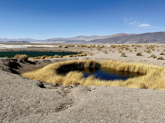 "Ojos del Campo"