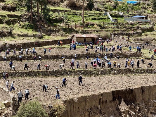 Gemeinschaftsarbeit beim Felder bestellen, mit Musik :-)