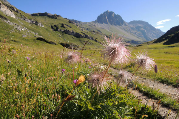 Frühlingswanderung über Blaunca, Grevalsalvas nach Sils Maria