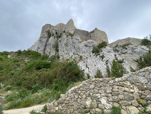 Fast verschwindet es auf dem Fels, das Chateau Quéribus