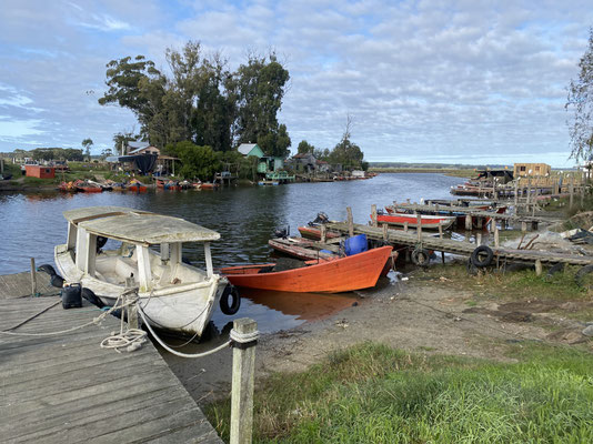 Von hier gehts mit dem Boot zu den Elefantenbäumen