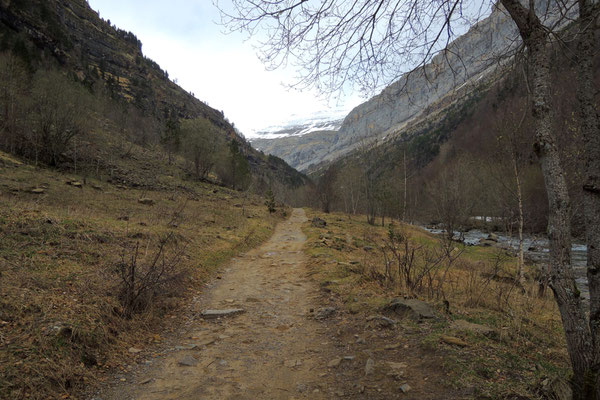 Ins Tal hinein geht es den Bergen entgegen