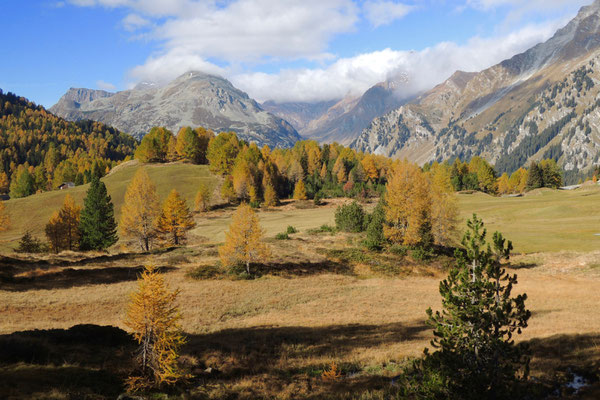 Herbstfarben im Engadin