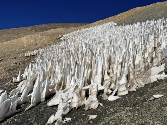 Büsserschnee / Argentinien