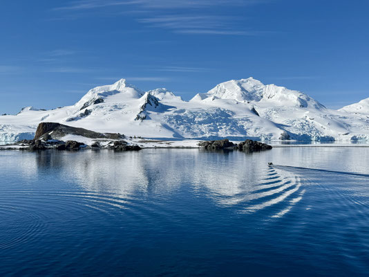 Wir sind im Eis...bei Half Moon Island