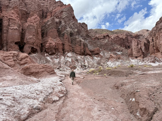 ...und zu Fuss erkunden