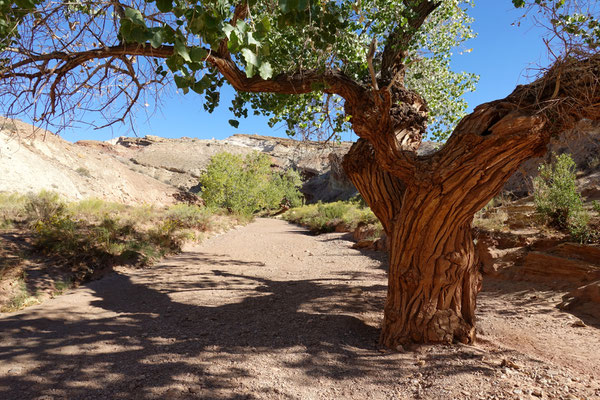 Wir machen uns auf in den "Little Wild Horse Canyon"