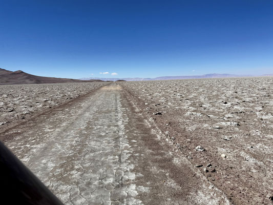 Quer über den Salar