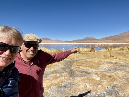 Seht ihr die vielen Flamingos?