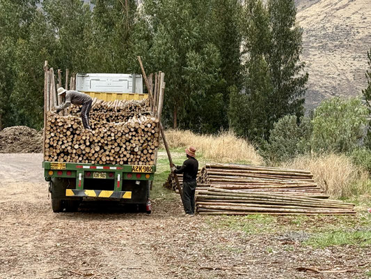 Holztransport