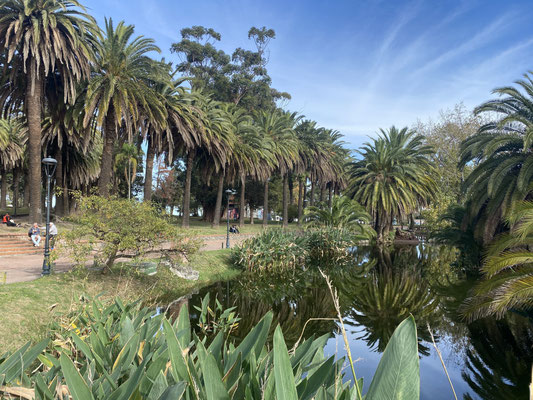 Im grünen Park Rodo