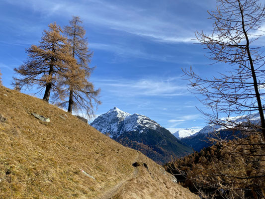 Höhenweg