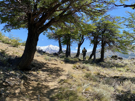 Inselwanderung
