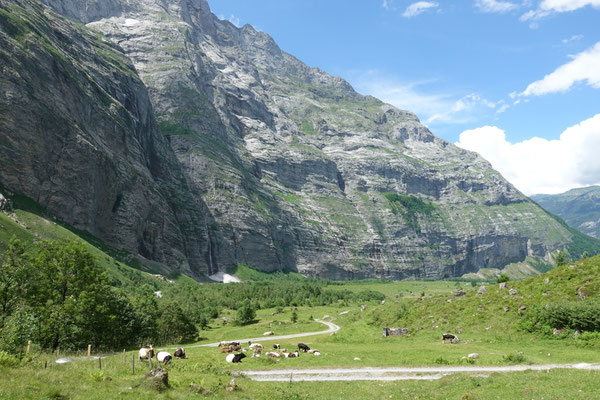 Das Ubachtal mit den Felswänden der Engelhörner 