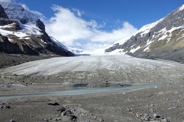 Athabasca Gletscher