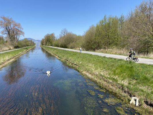 Velofahren im schönen Rhonedelta