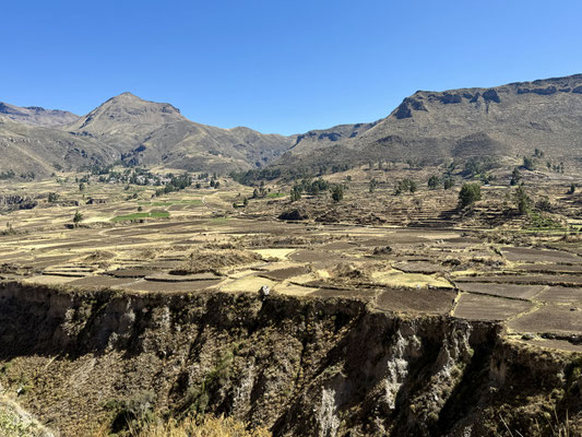 Entlang dem Colca Canyon mit seinen schönen Terrassenfelder