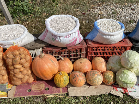 Herbstzeit ist Kürbiszeit