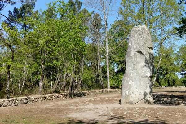 Ein stattlicher Stein